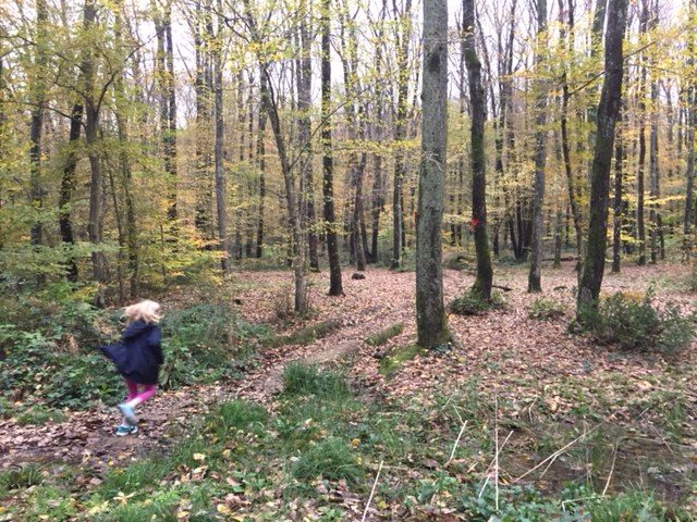 Belgrad Forest – Istanbul’s Big Green Space